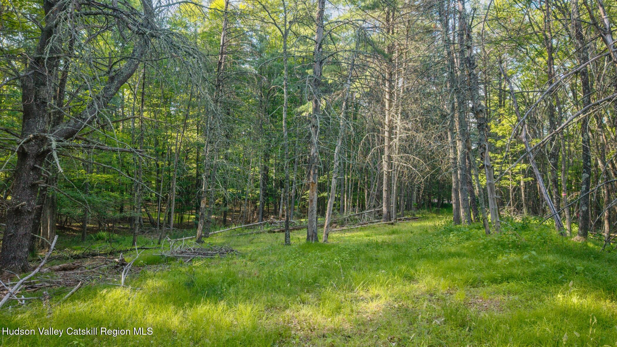 4533 Atwood Road Stone Ridge, NY 12484 - Photo 48 of 63 a view of outdoor space with a garden