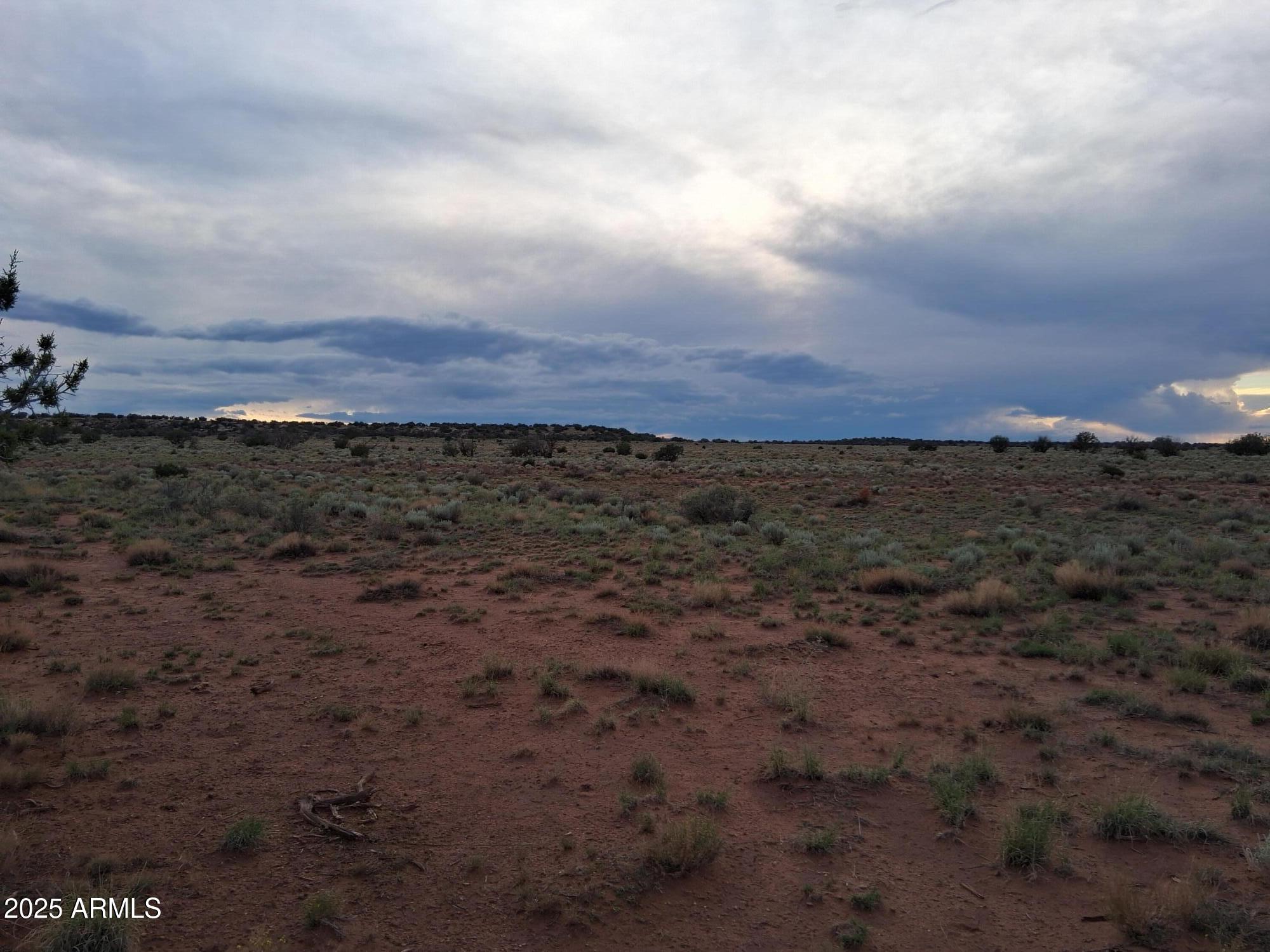 201 County Road Concho, AZ 85924 - Photo 19 of 24