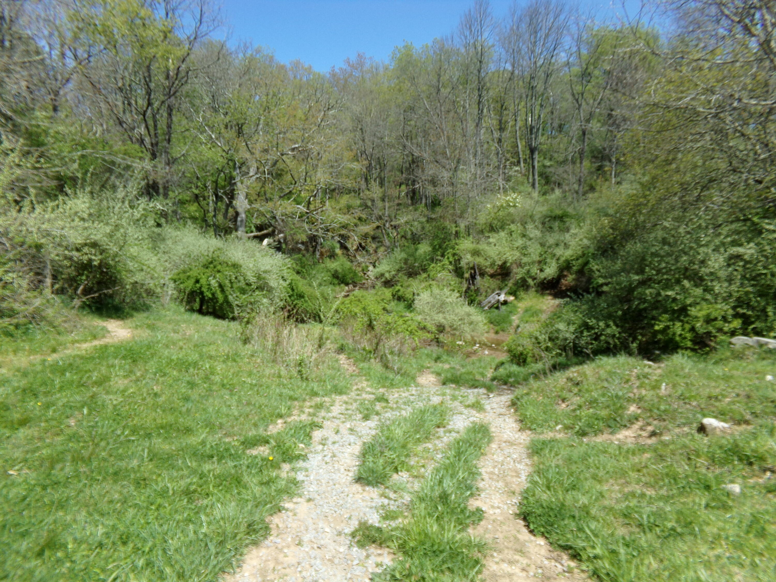 Friars Hill Road Williamsburg, WV 24991 - Photo 15 of 31 119_6880