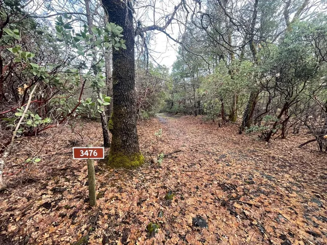 a sign that is sitting in the middle of forest