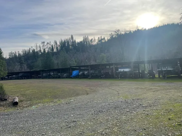a view of a yard