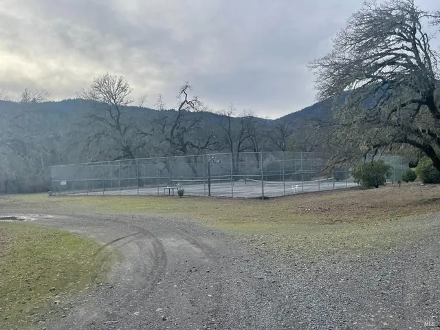 a view of a backyard