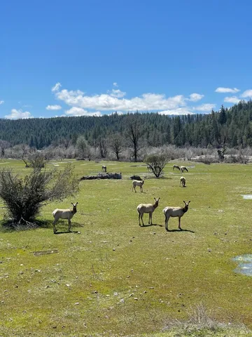 a view of lake with mountain