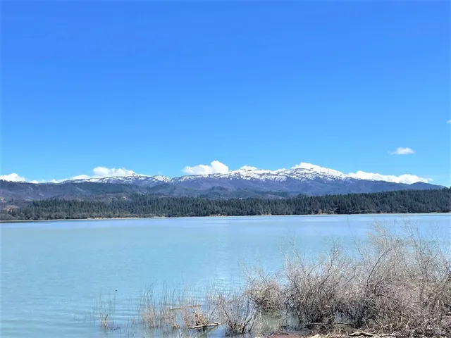 a wooden bench sitting in a field