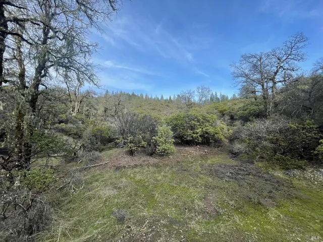 a view of a field with trees in the background