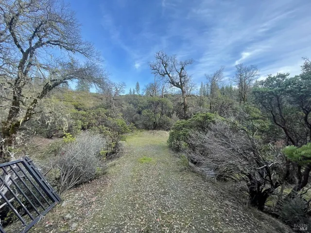 a view of a yard with a tree