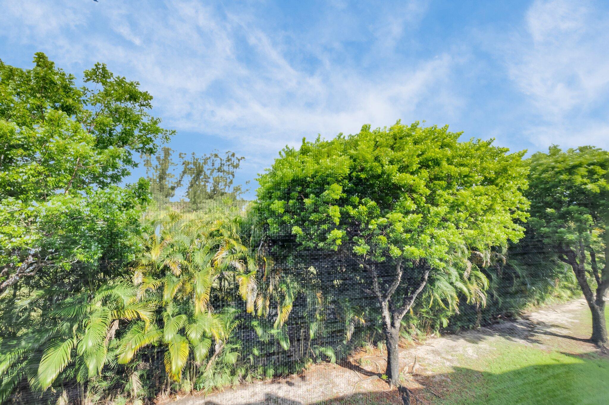 23247 Barwood Lane North, Unit 305 Boca Raton, FL 33428 - Photo 9 of 32 30-web-or-mls-DSC_0106