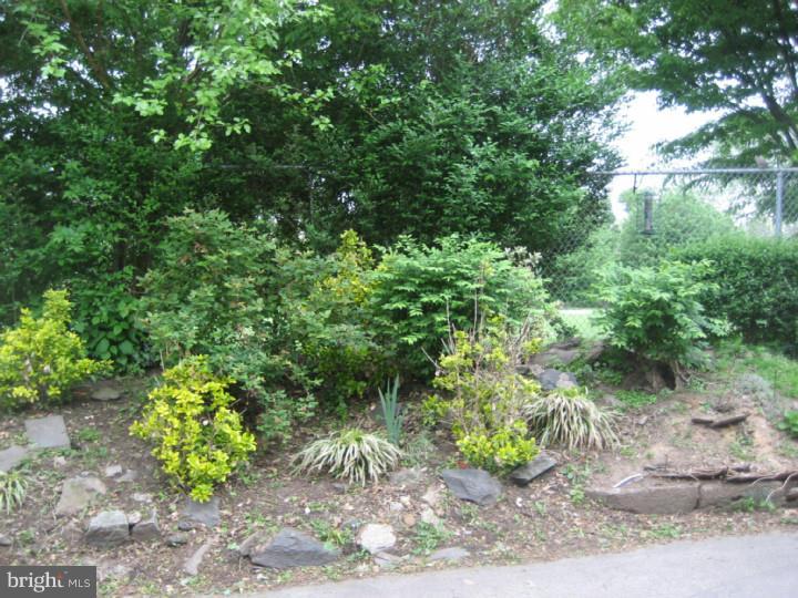 2646 Lenape Road Philadelphia, PA 19131 - Photo 21 of 25 Back Yard