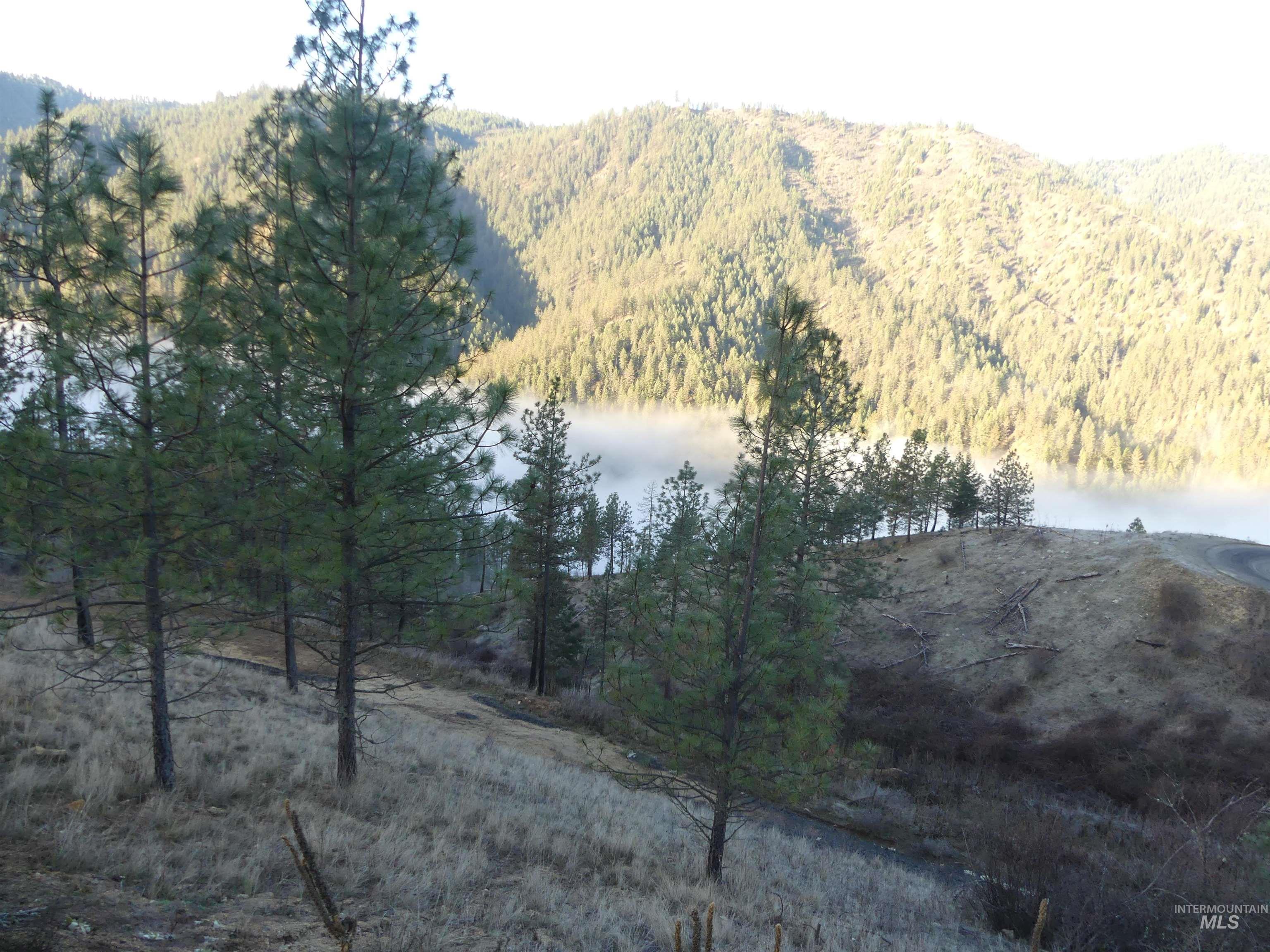 1408 Carrot Ridge Road Kamiah, ID 83536 - Photo 10 of 48