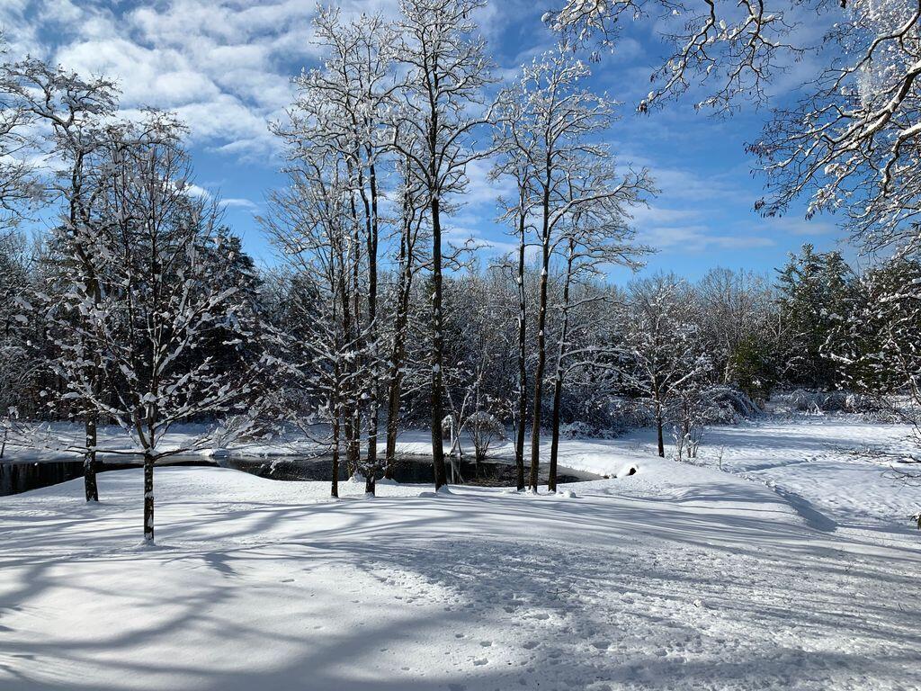 584 Alewive Road Kennebunk, ME 04043 - Photo 87 of 87 Winter