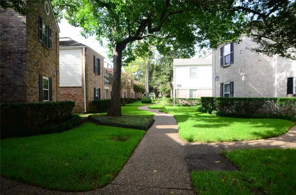 a view of a white house with a small yard plants and a large tree