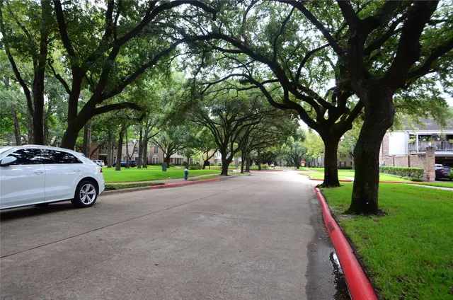 a view of a park with large trees