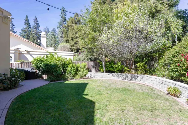 a view of a backyard with plants and a small cabin