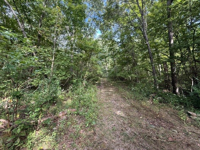 19101 Harrison Street Road Charleston, IL 61920 - Photo 17 of 69 Gallery Image 17
