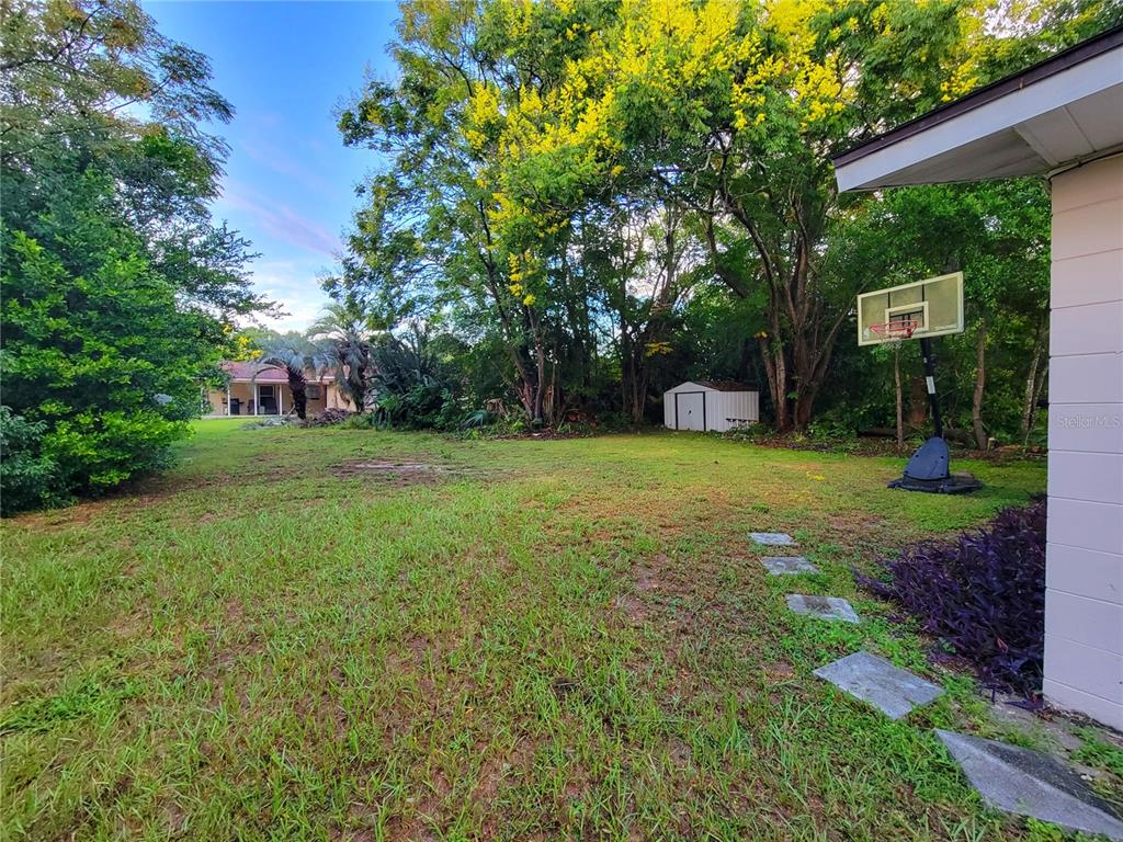 516 B Track Run Ocala, FL 34472 - Photo 34 of 41 a view of a tree in front of a house