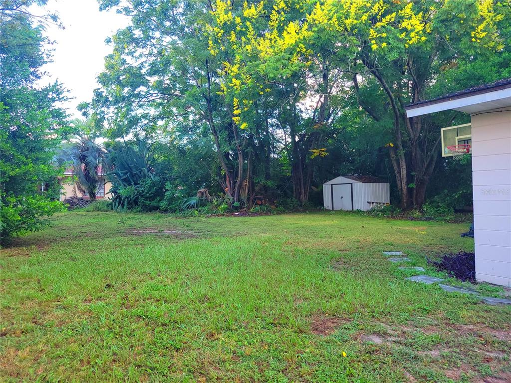 516 B Track Run Ocala, FL 34472 - Photo 35 of 41 a fire hydrant in the middle of a field