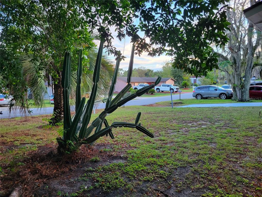 516 B Track Run Ocala, FL 34472 - Photo 41 of 41 a view of a park with large trees
