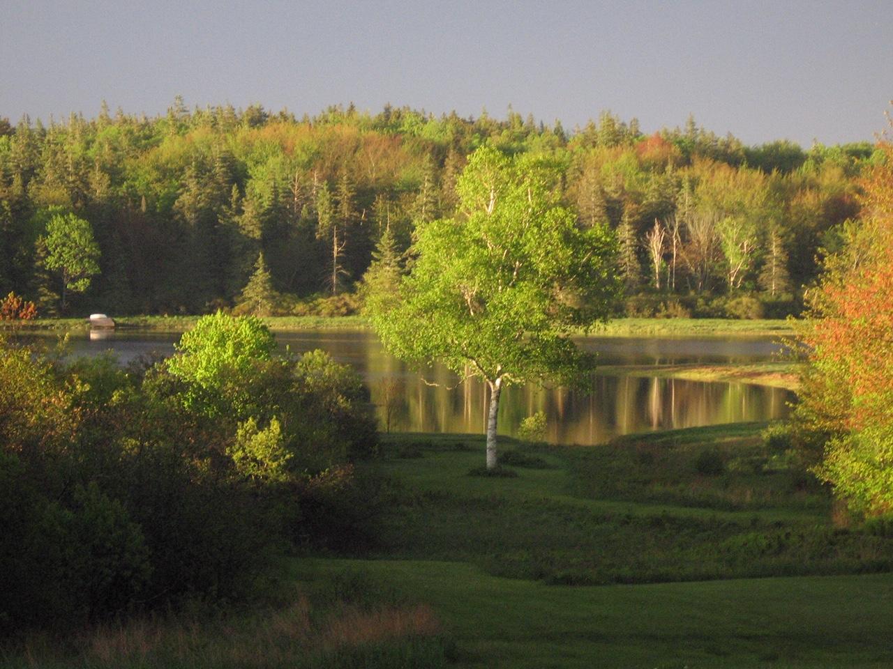 173 Port Clyde Road St. George, ME 04860 - Photo 4 of 5 fall view