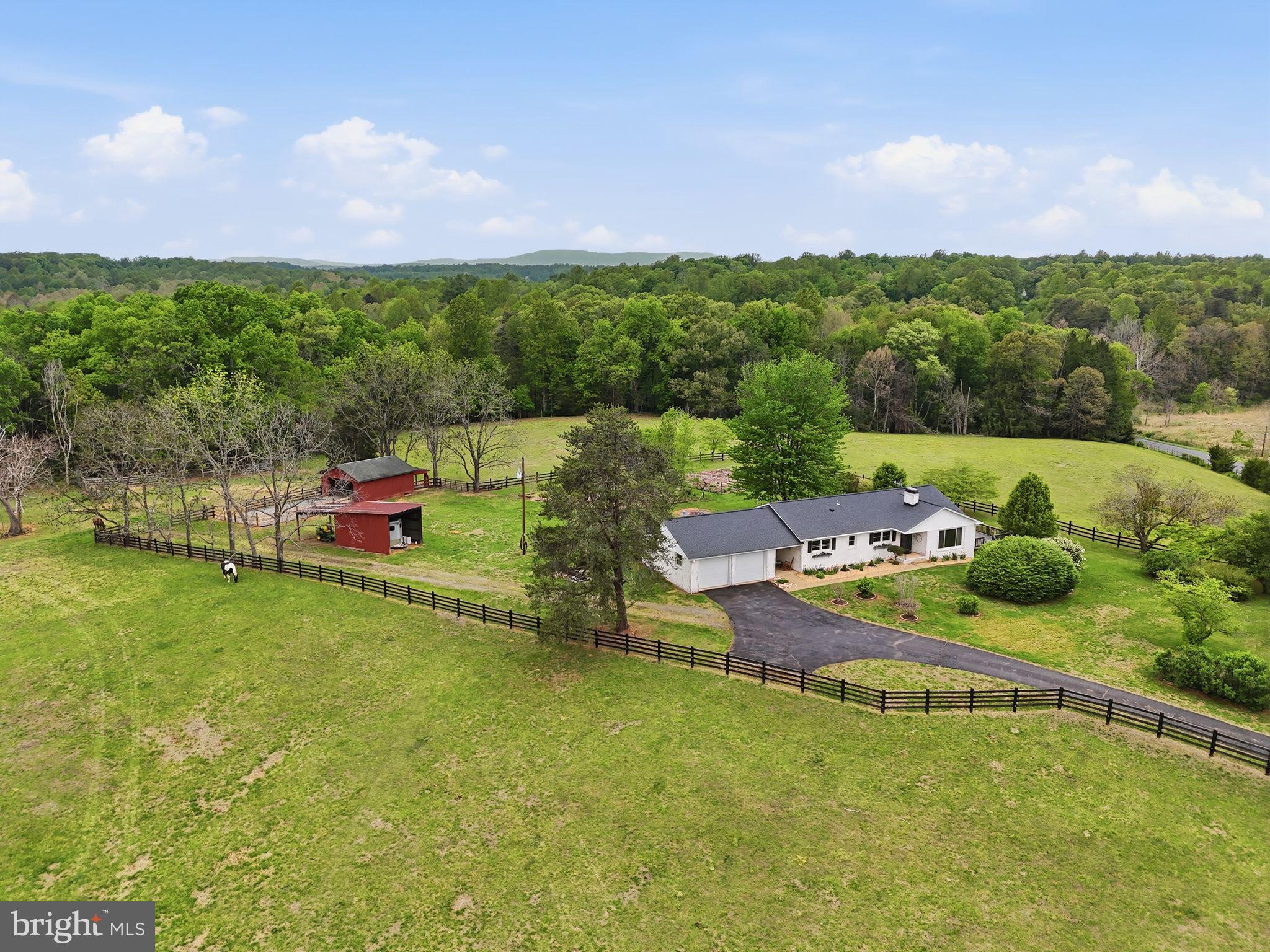 481 James City Road Leon, VA 22725 - Photo 57 of 89