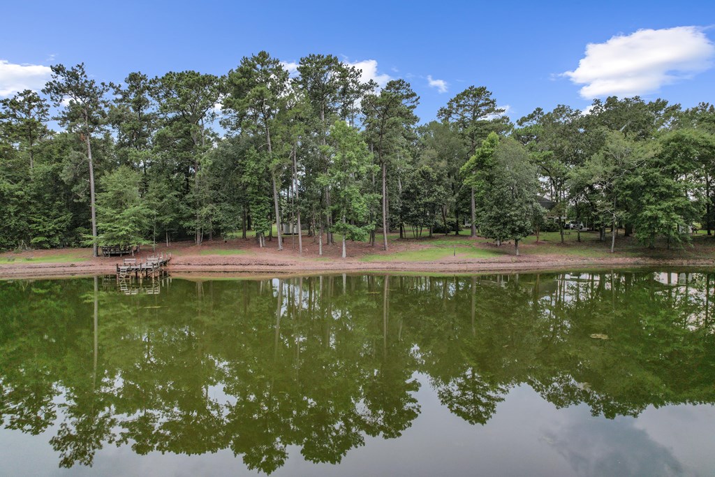 6850 North Co Road Columbia, AL 36319 - Photo 69 of 81