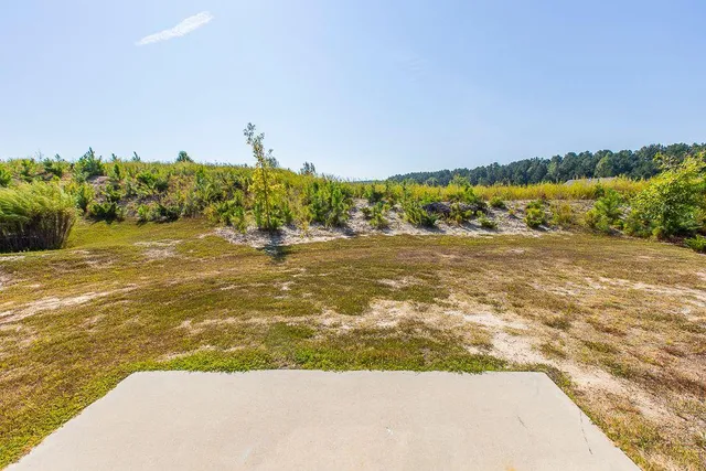 a view of an ocean beach