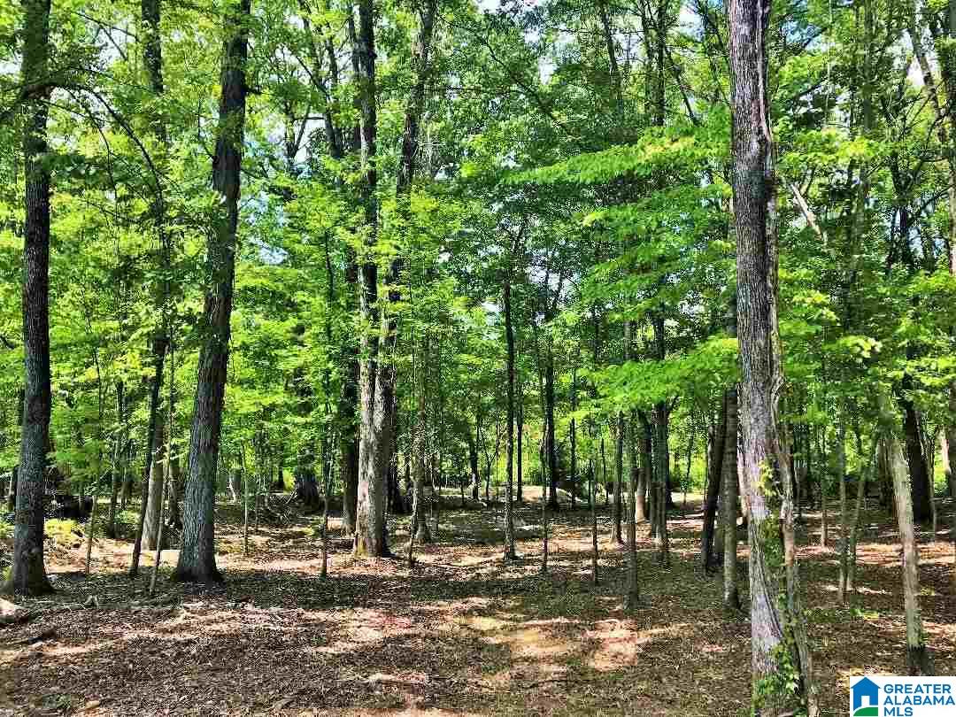372 Highway 69 Chelsea Al, Unit 20 Chelsea, AL 35043 - Photo 2 of 6