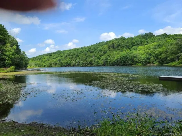 a view of a lake from a yard