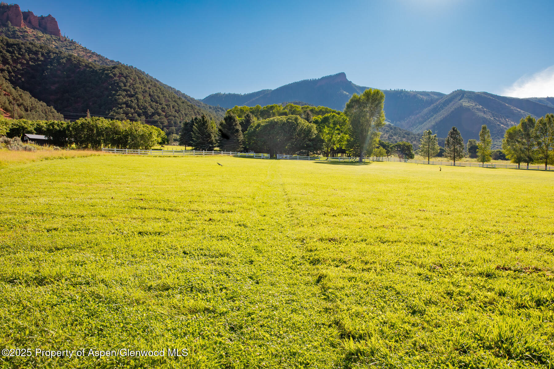 2147 Lower River Road Snowmass, CO 81654 - Photo 43 of 61 108A5793