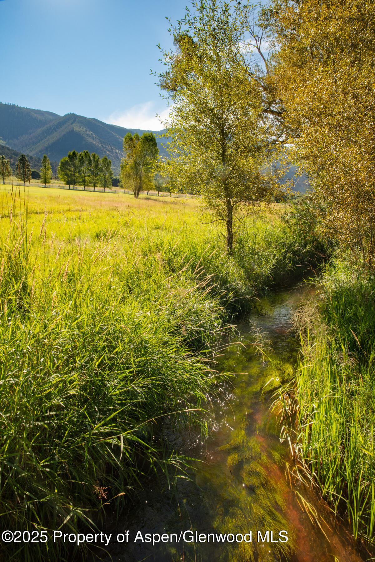 2147 Lower River Road Snowmass, CO 81654 - Photo 44 of 61 a view of an ocean from a yard