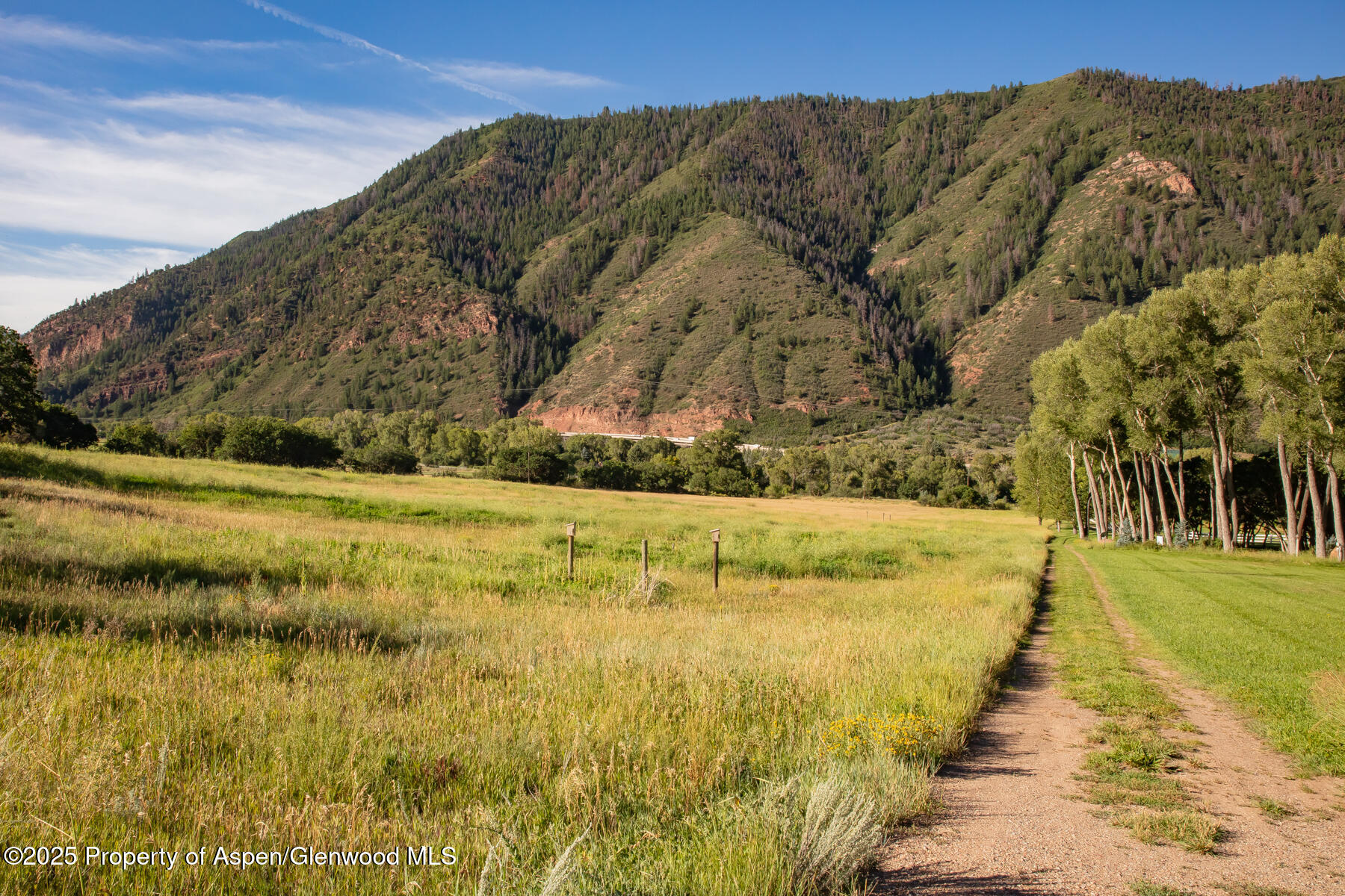 2147 Lower River Road Snowmass, CO 81654 - Photo 55 of 61 a view of a yard with a building