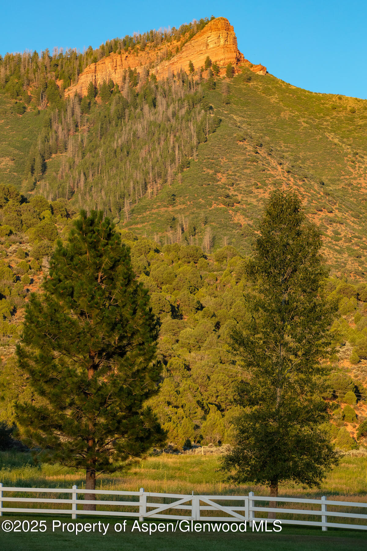 2147 Lower River Road Snowmass, CO 81654 - Photo 57 of 61 108A5628