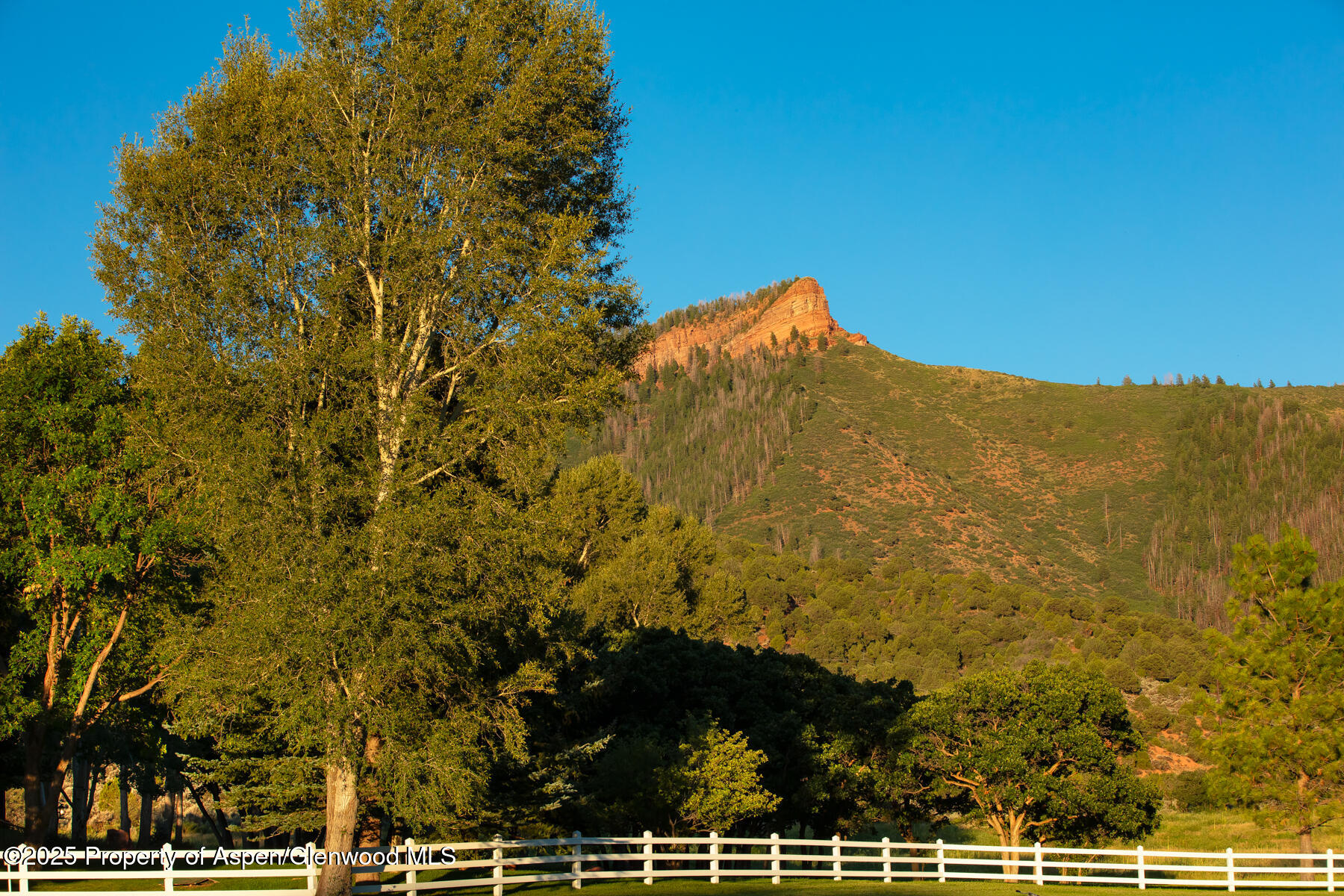 2147 Lower River Road Snowmass, CO 81654 - Photo 58 of 61 a view of a field