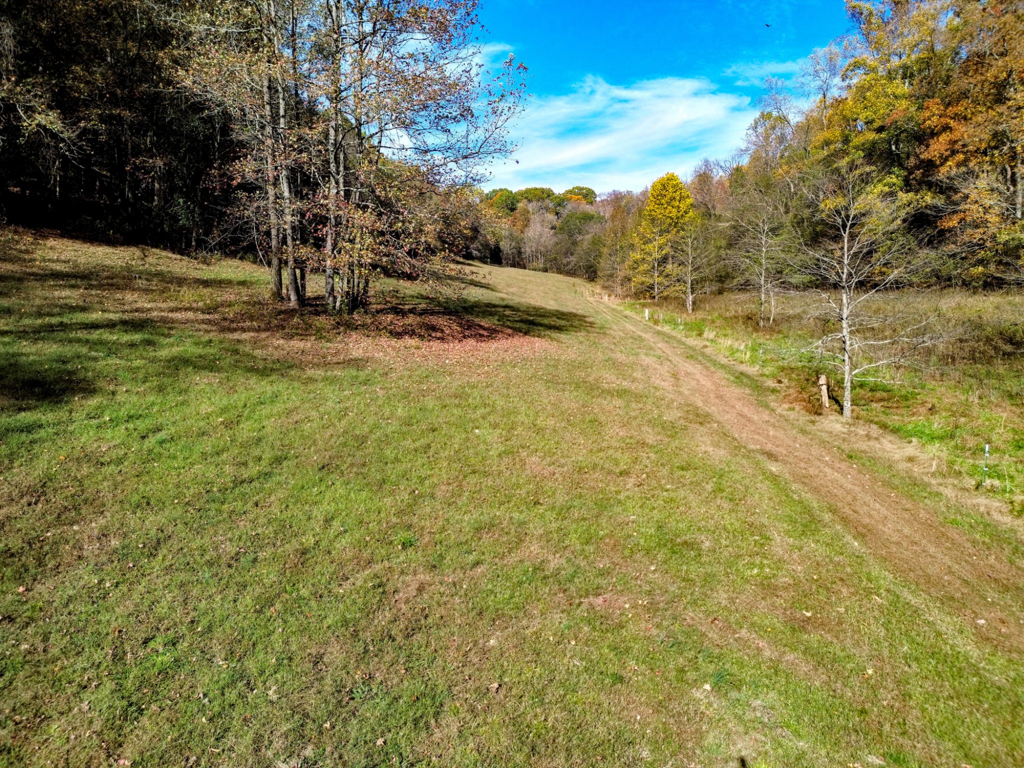 0 Bunker Hill Road Pulaski, TN 38478 - Photo 13 of 16 a view of a yard with an trees