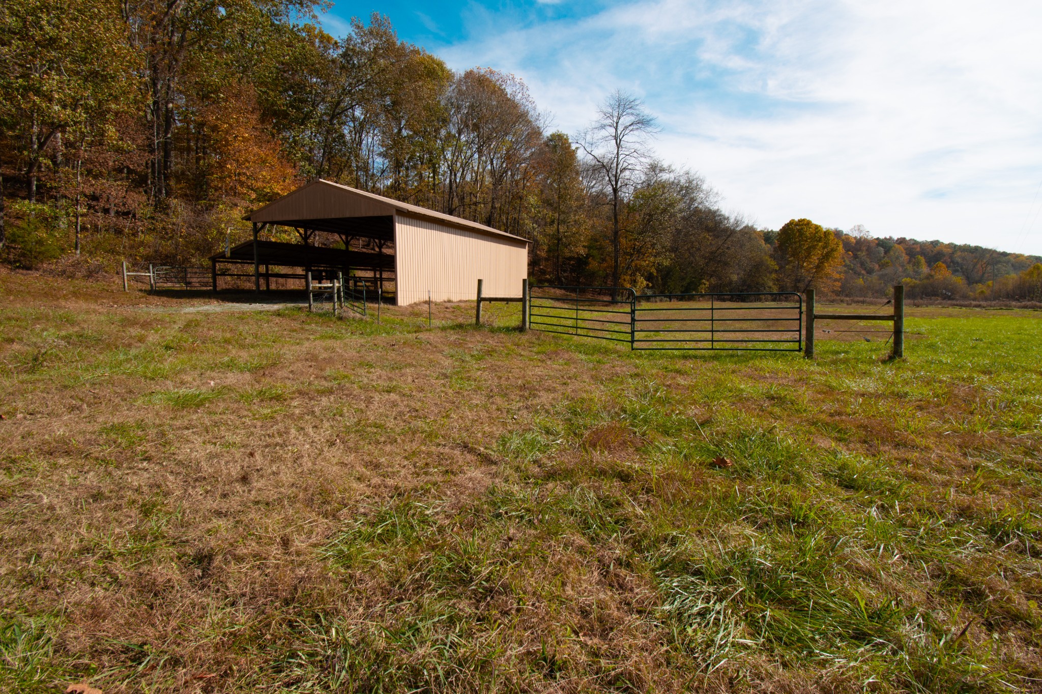 0 Bunker Hill Road Pulaski, TN 38478 - Photo 2 of 16 a view of backyard with green space