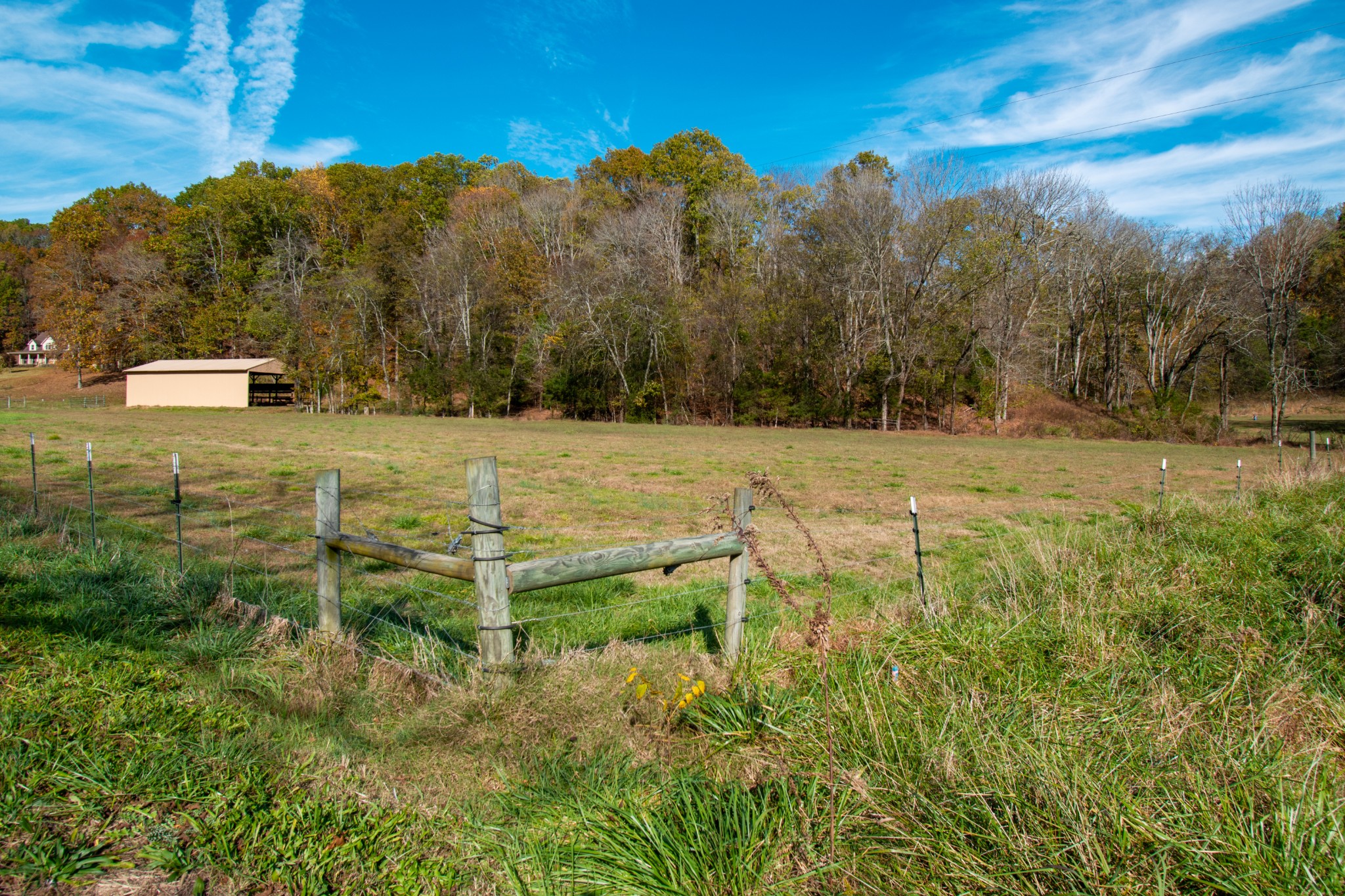 0 Bunker Hill Road Pulaski, TN 38478 - Photo 3 of 16 a view of a backyard
