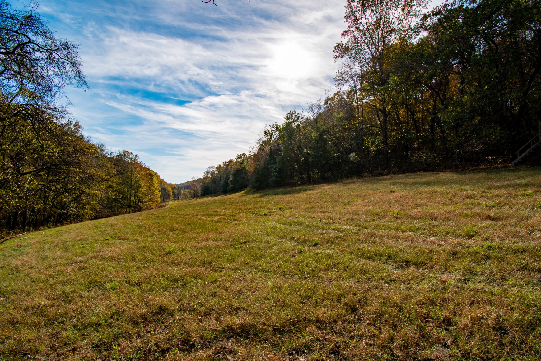 0 Bunker Hill Road Pulaski, TN 38478 - Photo 4 of 16 a view of a yard with a trees