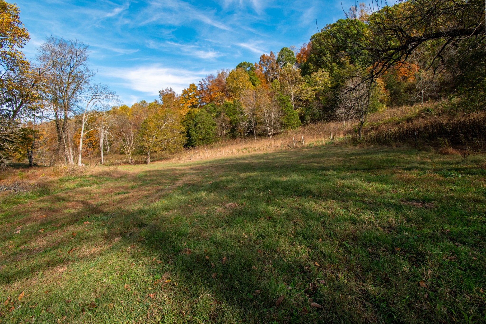 0 Bunker Hill Road Pulaski, TN 38478 - Photo 6 of 16 a view of grassy field with trees