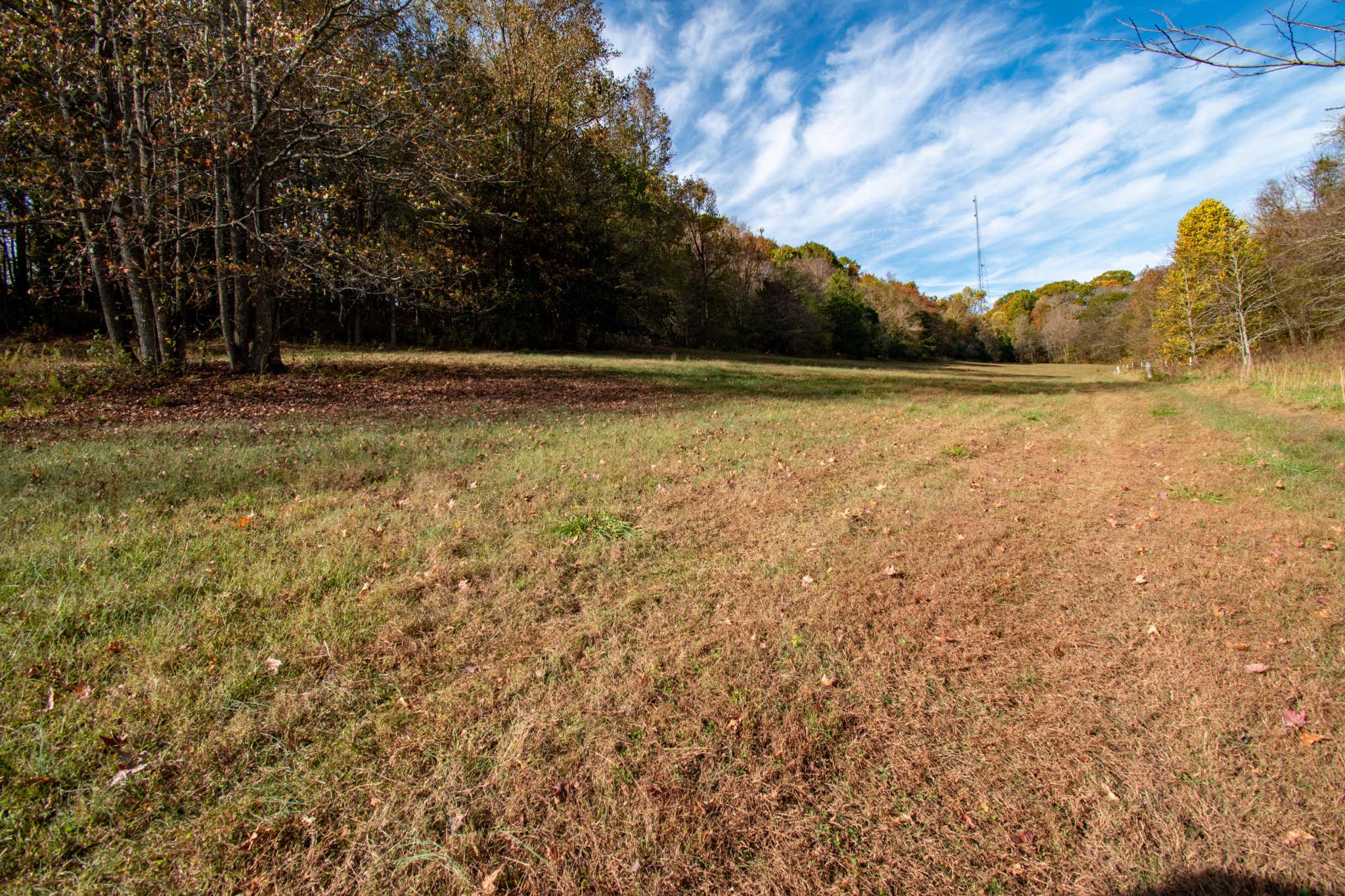 0 Bunker Hill Road Pulaski, TN 38478 - Photo 7 of 16 a view of outdoor space with swimming pool