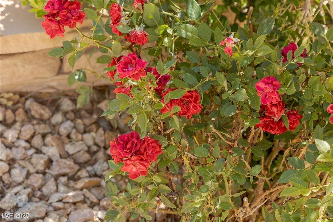 17 Winding Road Henderson, NV 89052 - Photo 84 of 94