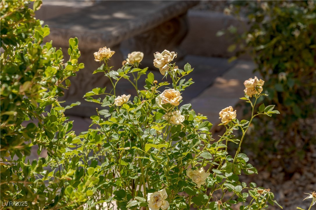 17 Winding Road Henderson, NV 89052 - Photo 85 of 94