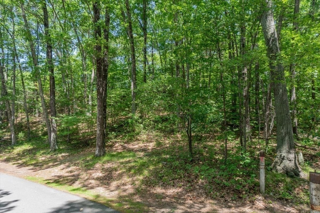 0 Alder Road Groton, MA 01450 - Photo 5 of 16