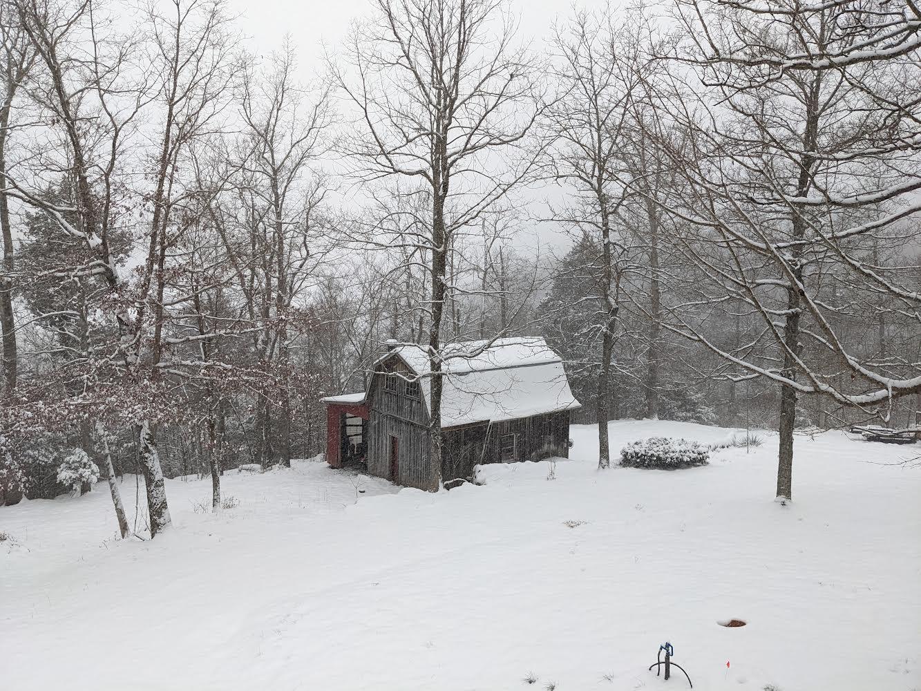 2023 Hummel Road Mount Vernon, KY 40456 - Photo 13 of 69 Winter