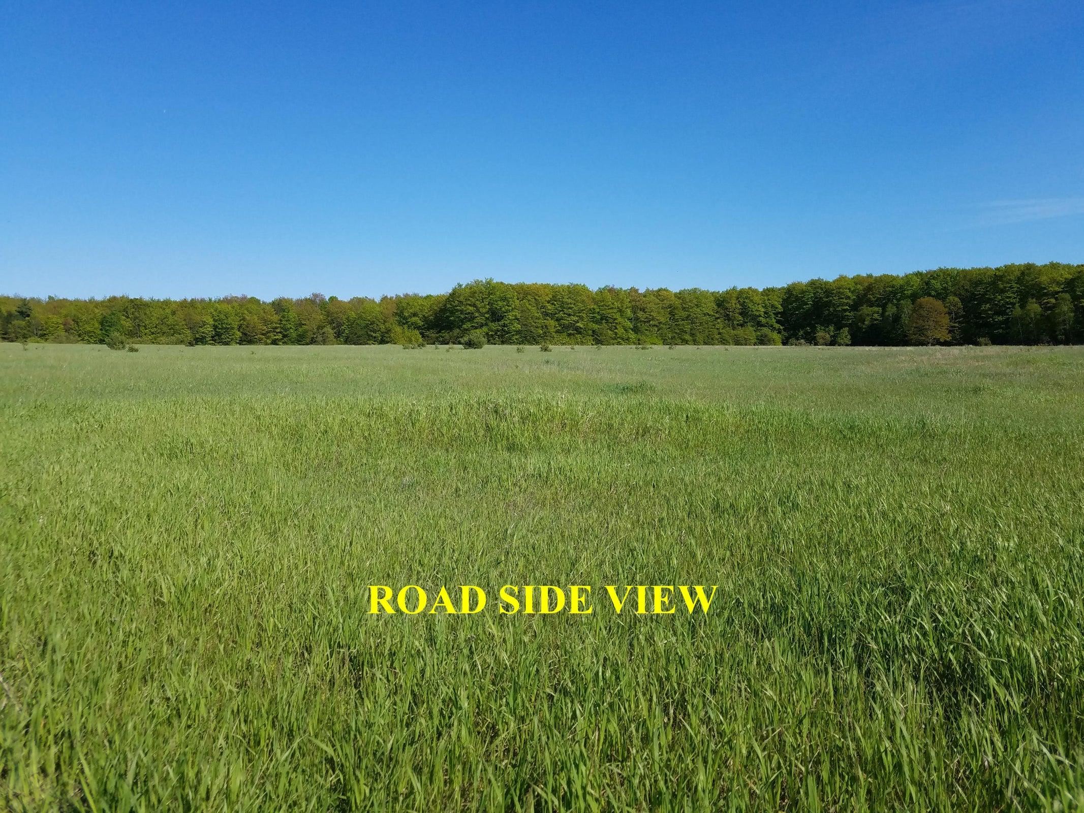 V/l Mancelona Road Gaylord, MI 49735 - Photo 9 of 9