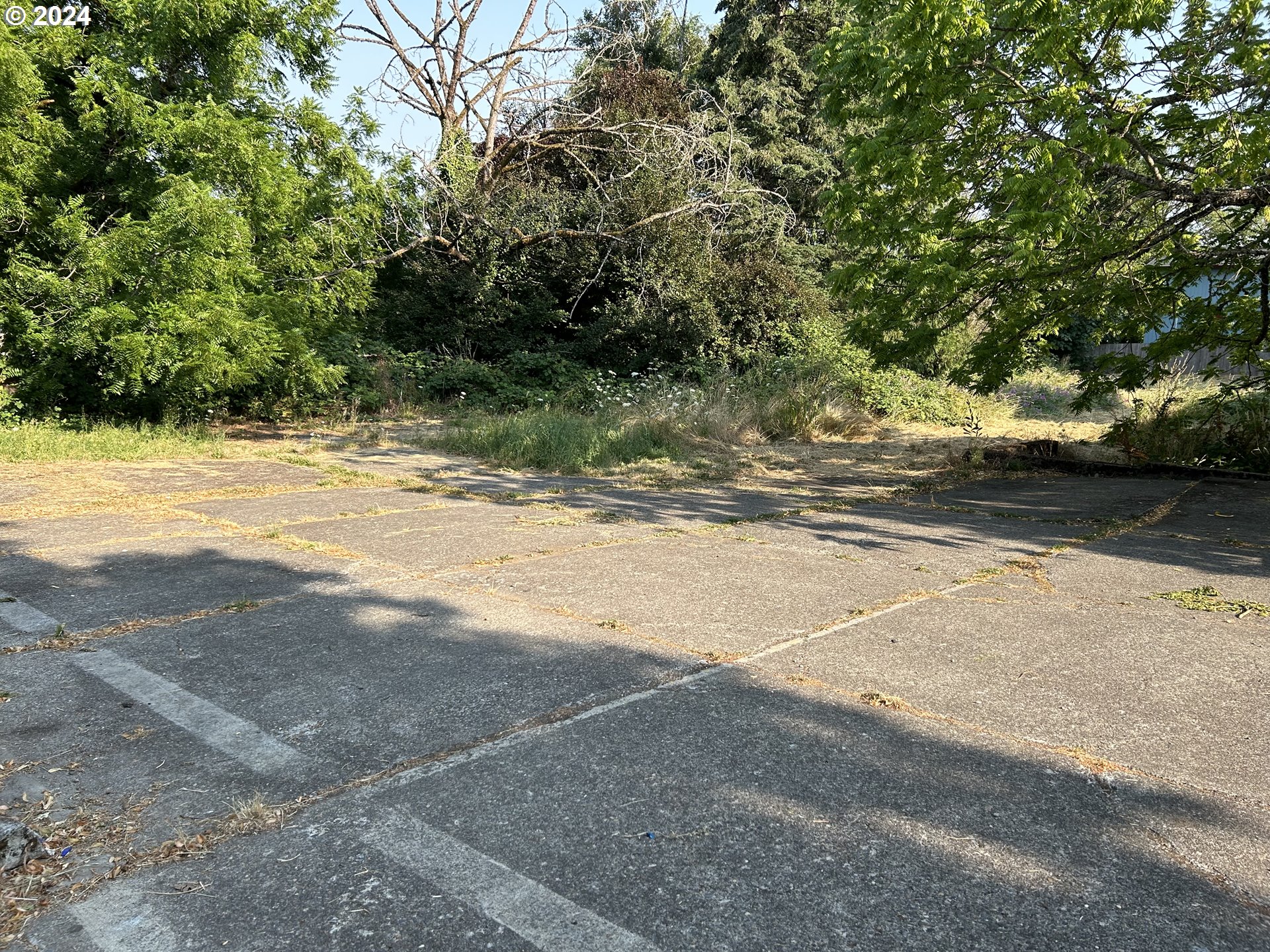 C Street, Unit 1 Forest Grove, OR 97116 - Photo 4 of 4 a view of a yard with a tree