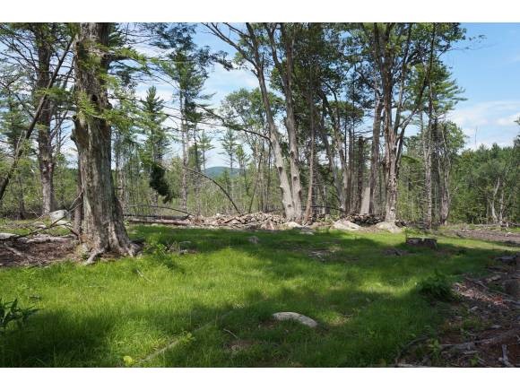 Old Francestown Road Weare, NH 03281 - Photo 1 of 1 Gallery Image 1