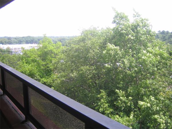 402 Paradise Road, Unit 3L Swampscott, MA 01907 - Photo 11 of 17 a view of a green field with sky view
