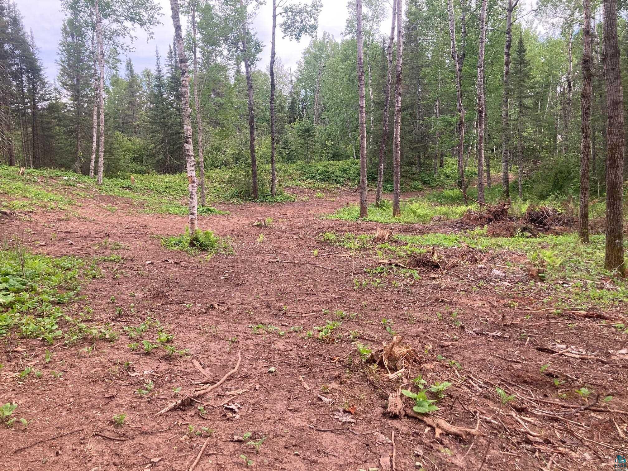 584 X Howard Gnesen Road Duluth, MN 55803 - Photo 11 of 11 View of mother earth's splendor