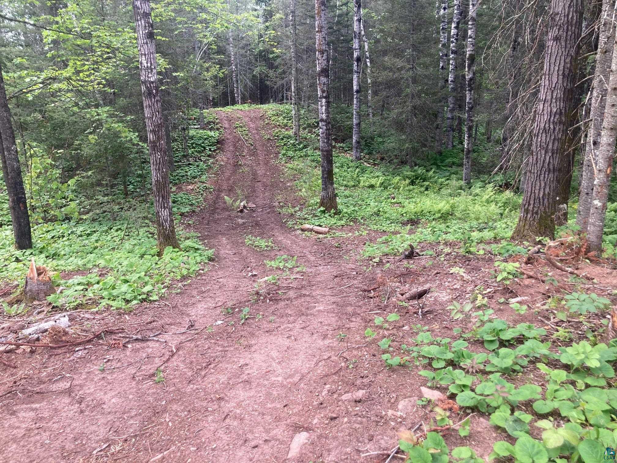 584 X Howard Gnesen Road Duluth, MN 55803 - Photo 5 of 11 View of nature