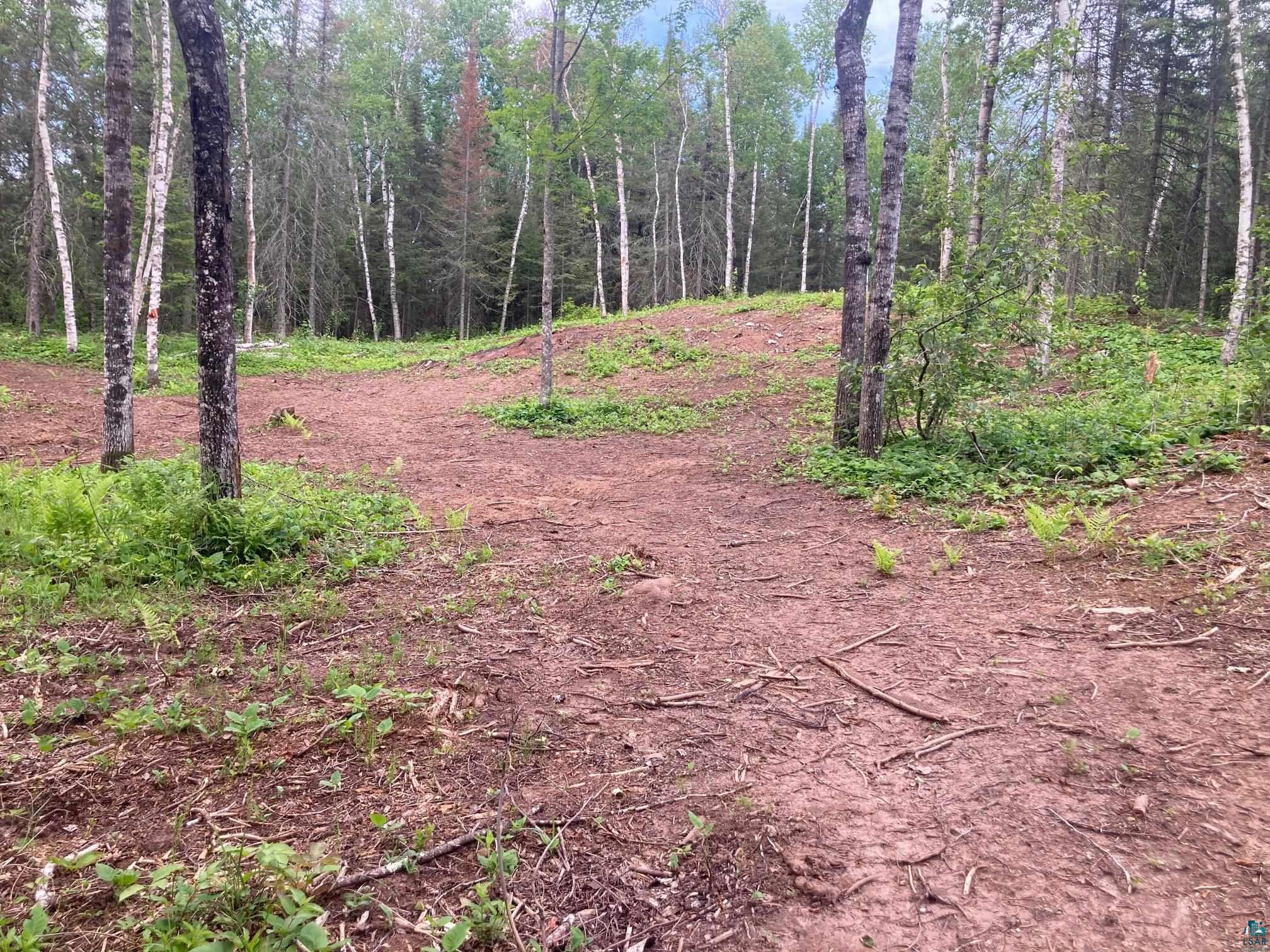 584 X Howard Gnesen Road Duluth, MN 55803 - Photo 6 of 11 View of local wilderness