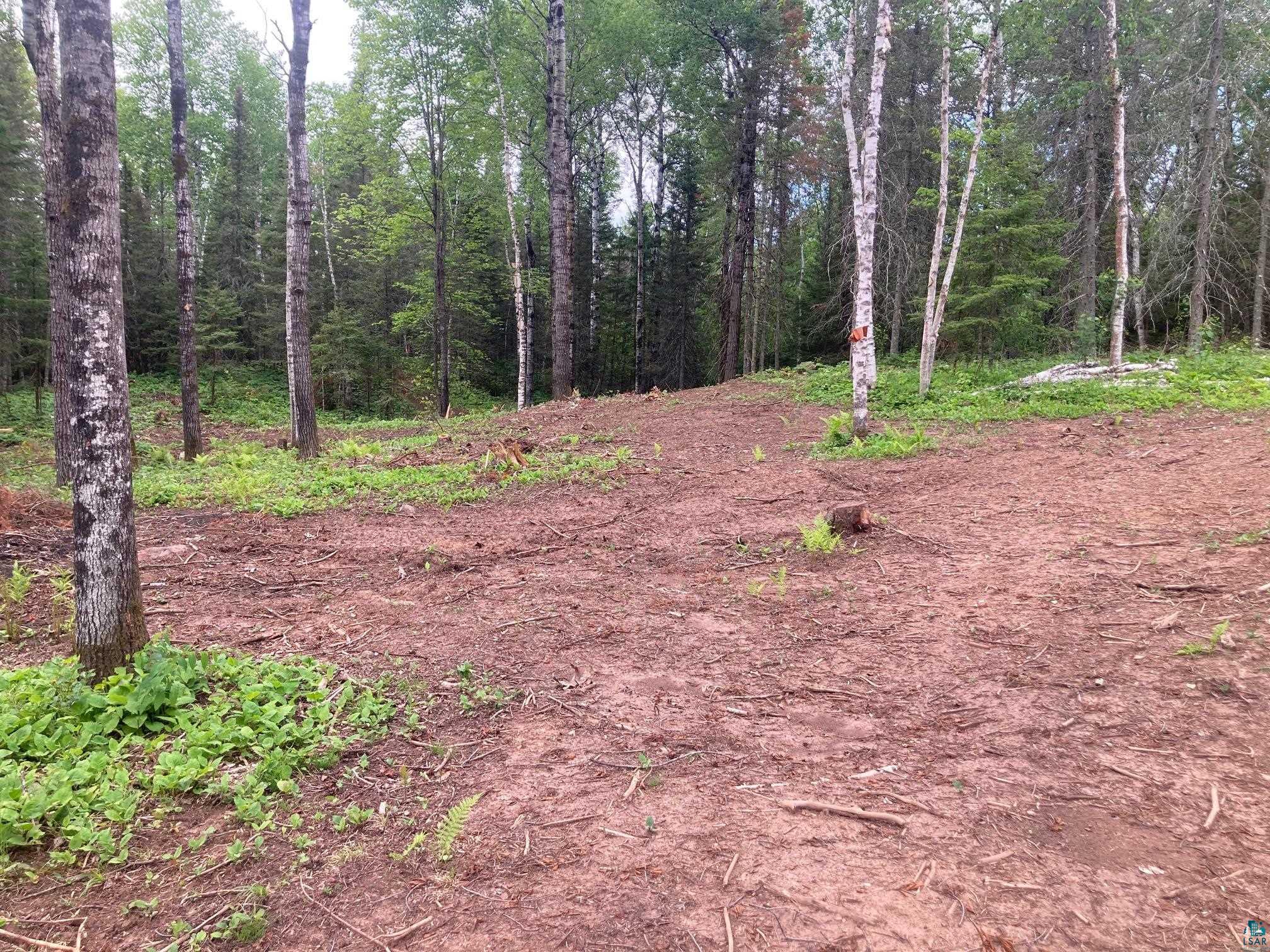 584 X Howard Gnesen Road Duluth, MN 55803 - Photo 7 of 11 View of mother earth's splendor